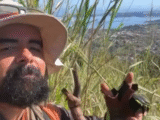 pedra do macaco