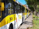 transporte público