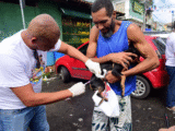 Campanha de vacinação contra a raiva busca imunizar 390 mil animais em Salvador - Foto: Jefferson Peixoto (Secom/PMS)