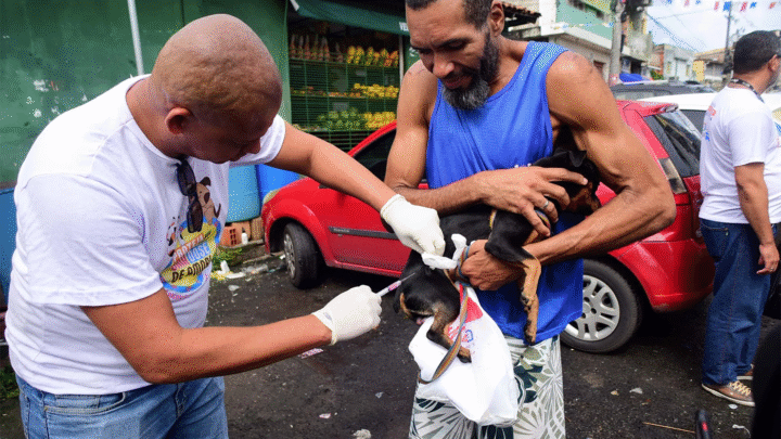 Campanha de vacinação contra a raiva busca imunizar 390 mil animais em Salvador