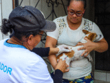 Vacinação antirrábica itinerante chega a diversos bairros da capital baiana - Foto: Divulgação/Semsa