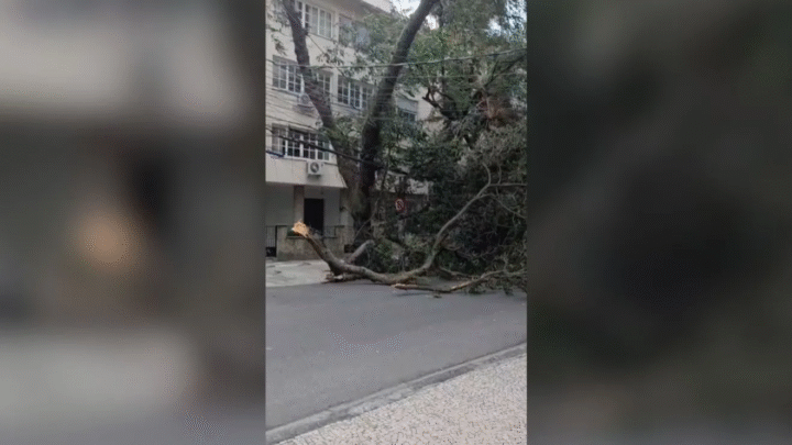 Ventania provoca estragos no Rio e deixa mais de um milhão sem energia