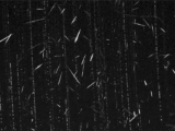 chuva de meteoros