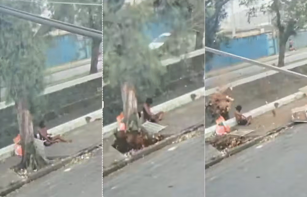 Vídeo mostra momento em que árvore cai e mata homem durante vendaval no litoral de SP