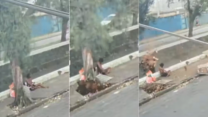 Vídeo mostra momento em que árvore cai e mata homem durante vendaval no litoral de SP