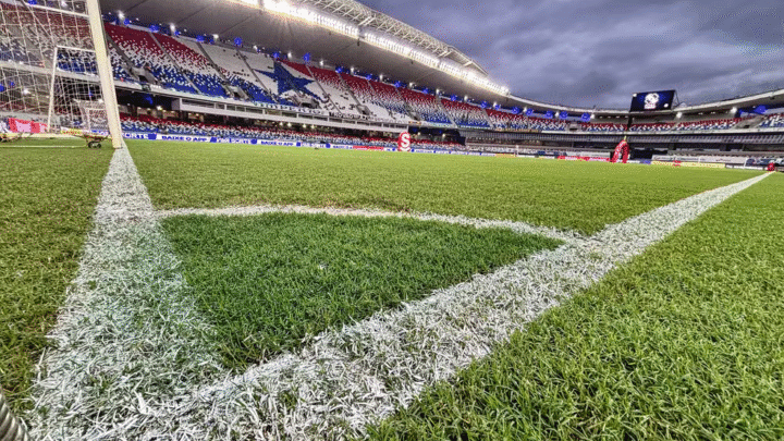 Remo x Atlético-MG: onde assistir ao vivo, horário e escalações da partida