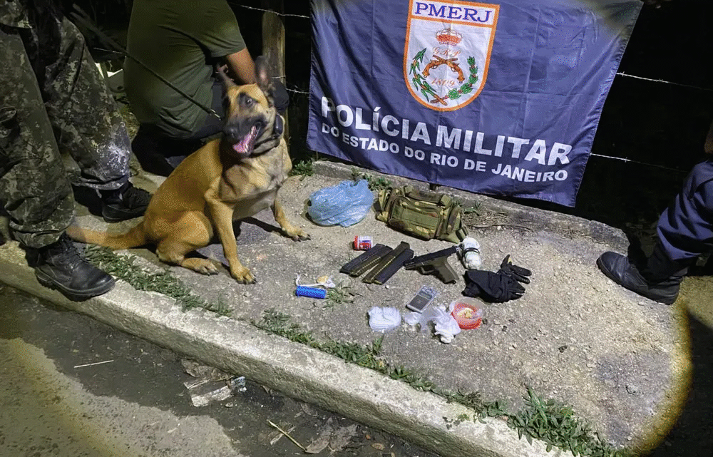 Homem é preso por tráfico após fugir para área de mata em Itatiaia