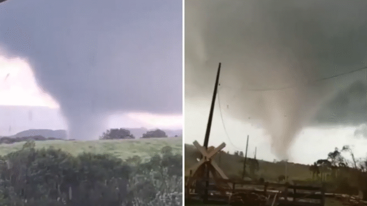 Tornado no Paraná deixa rastro de destruição e famílias desalojadas nos Campos Gerais