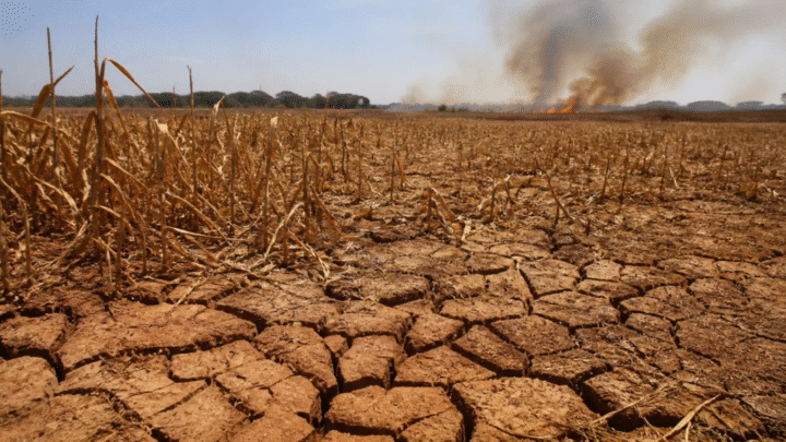 El Niño deve ser o mais forte desde 1950 e durar até o outono de 2027