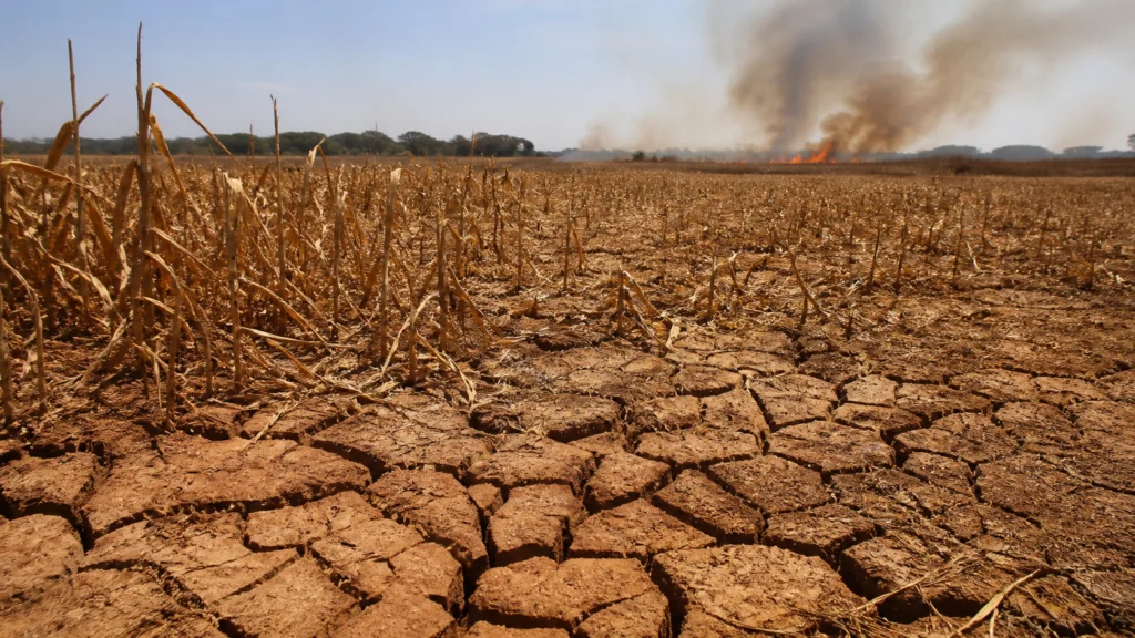 El Niño deve ser o mais forte desde 1950 e durar até o outono de 2027