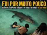 Crocodilo avança sobre banhistas durante mergulho noturno em resort de Belize - Foto: Gerada por IA