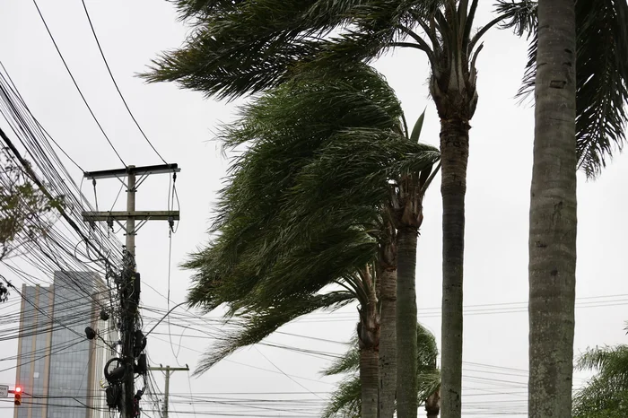Ciclone no RS deve provocar chuva forte e rajadas de vento de até 100 km/h nesta semana