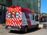 veterinária