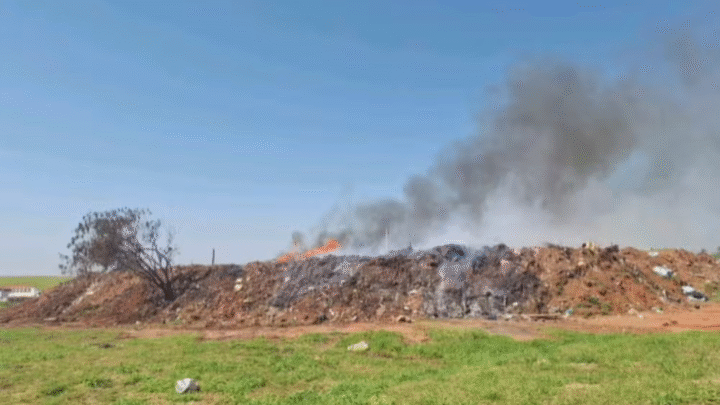 Incêndios atingem canavial e depósito de galhos no interior de SP e mobilizam bombeiros