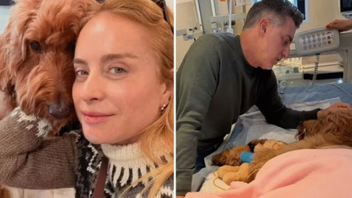 Angélica emociona ao pedir forças para tratar doença grave de pet