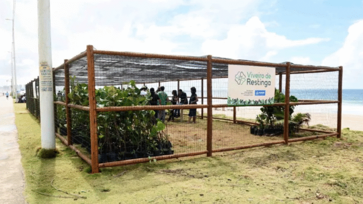 Segundo viveiro de restinga de Salvador é entregue no Jardim de Alah e recebe mudas da Praia do Flamengo