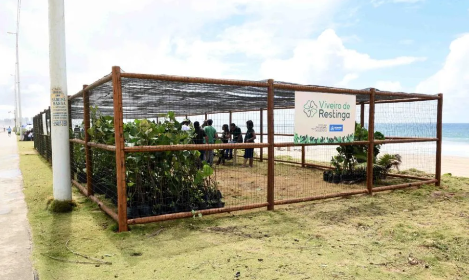 Segundo viveiro de restinga de Salvador é entregue no Jardim de Alah e recebe mudas da Praia do Flamengo