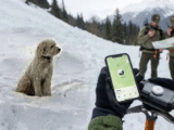 avalanche