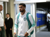 Palmeiras